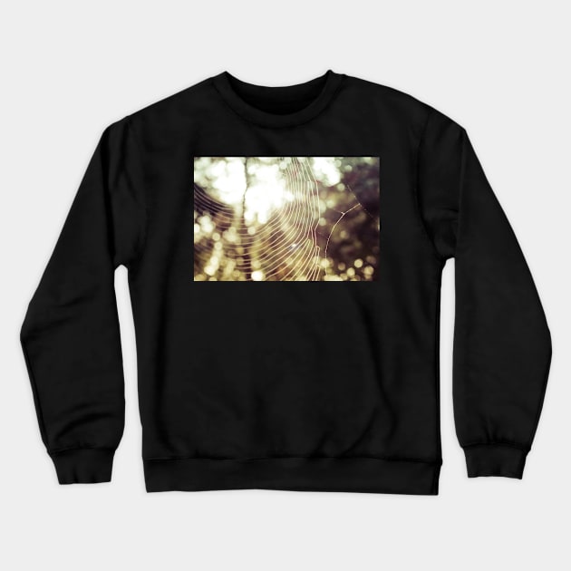 Into the Light Crewneck Sweatshirt by newbeltane